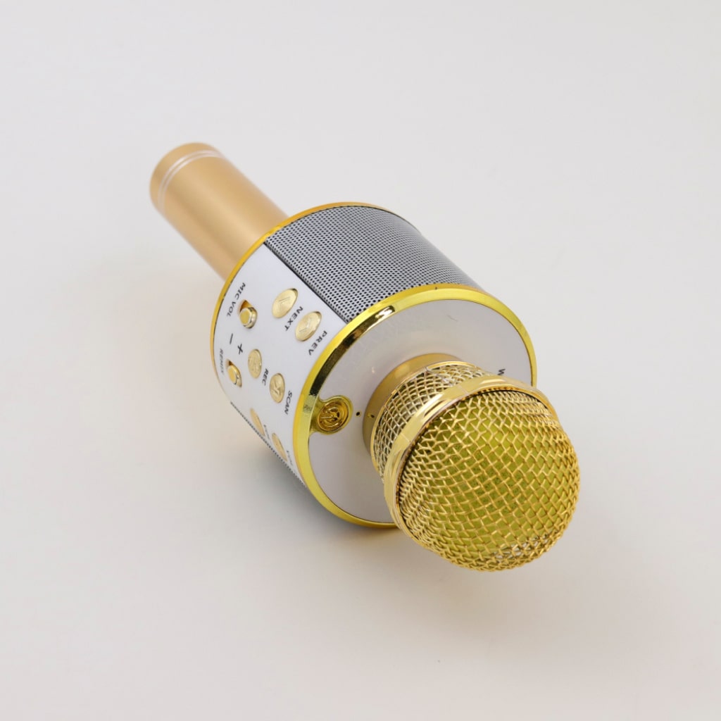 Wireless Karaoke Microphone