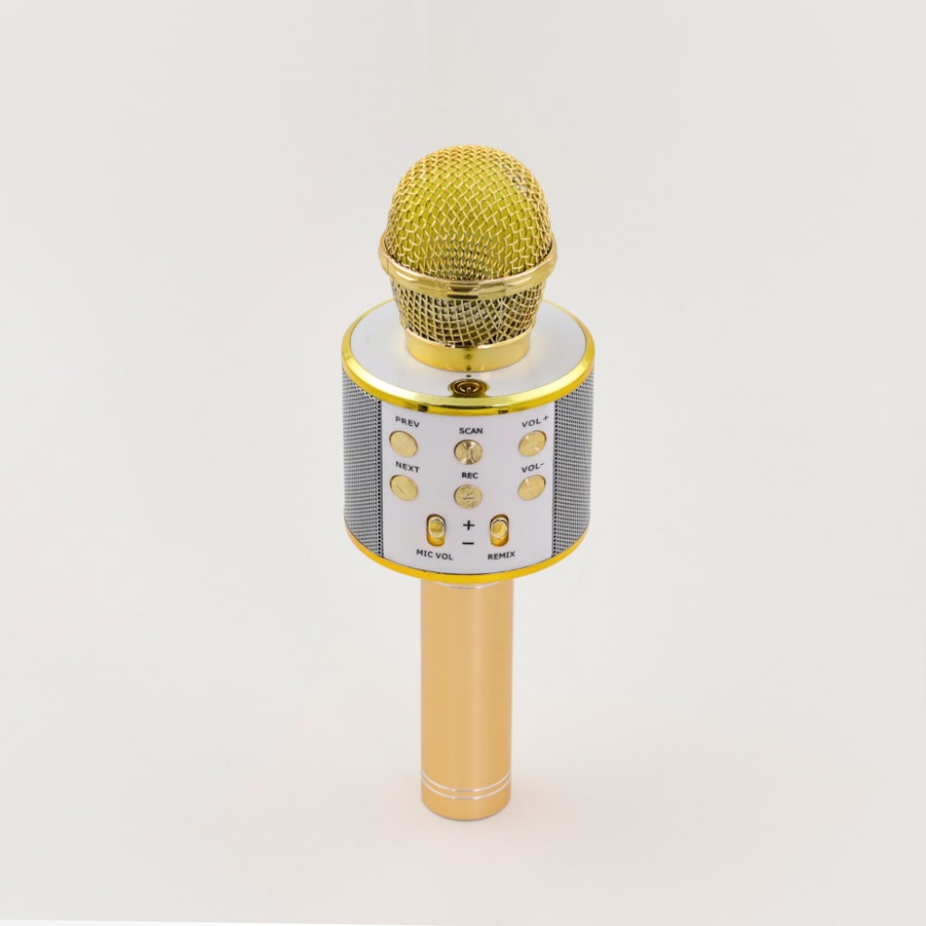 Wireless Karaoke Microphone